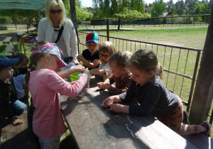 Dzieci wrzucają karmę dla alpak do pudełka.